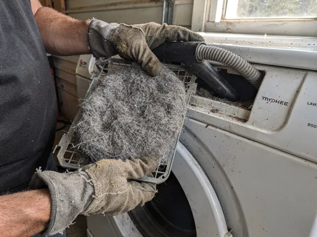 Cleaning Dryer Lint Trap in Swampscott